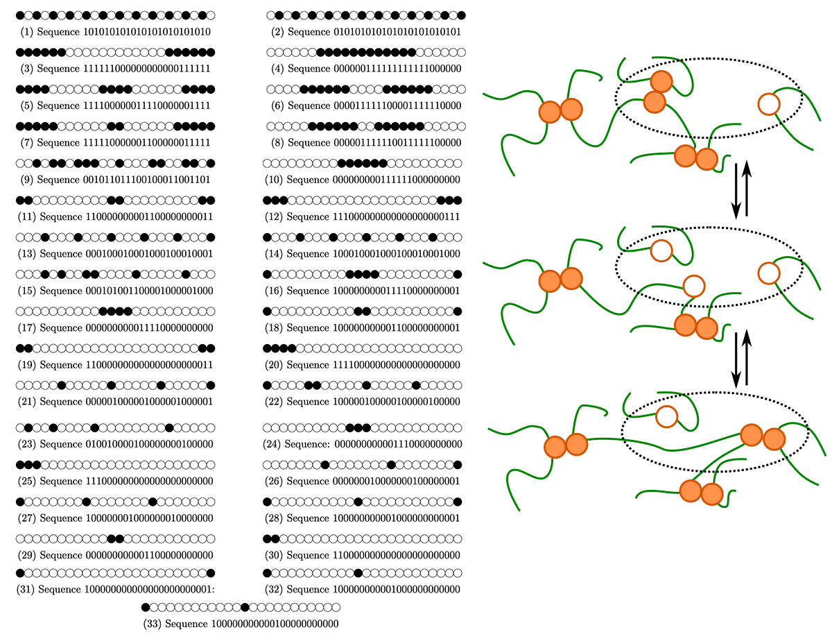 Silk protein sequences